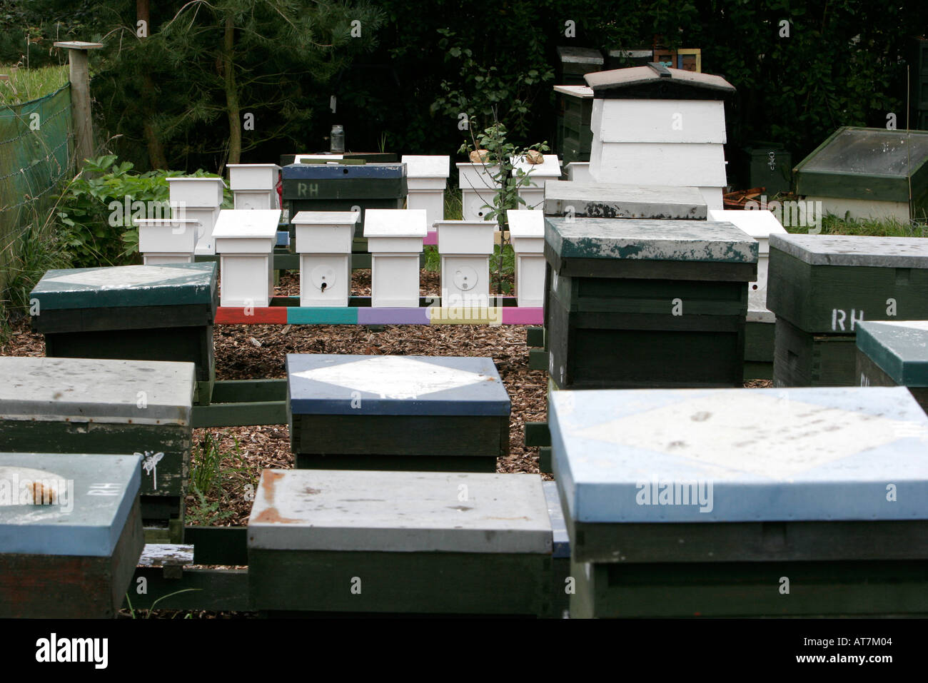 Bee hives pictures hi-res stock photography and images - Alamy