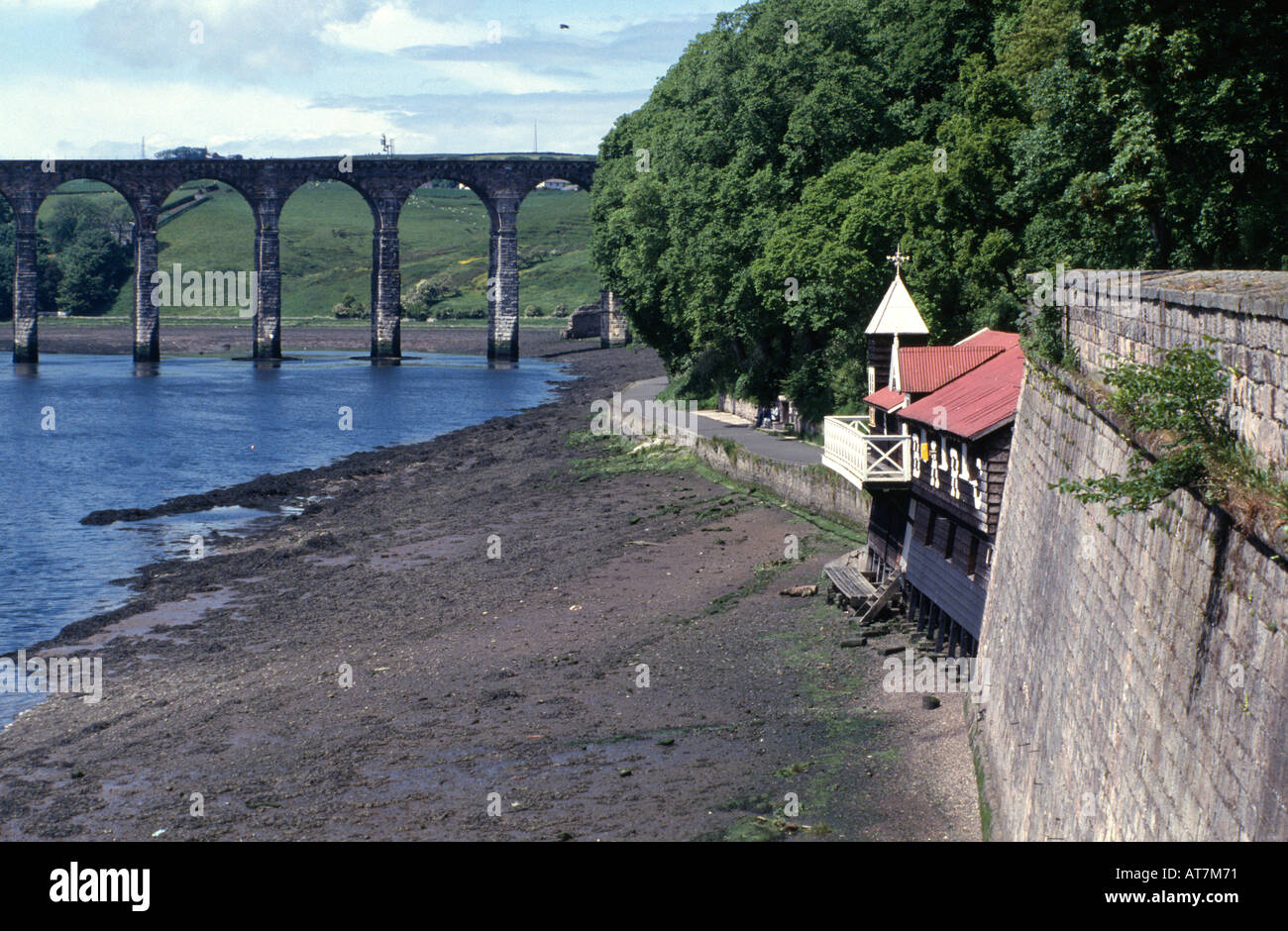 Berwick amateur rowing club hi-res stock photography and images