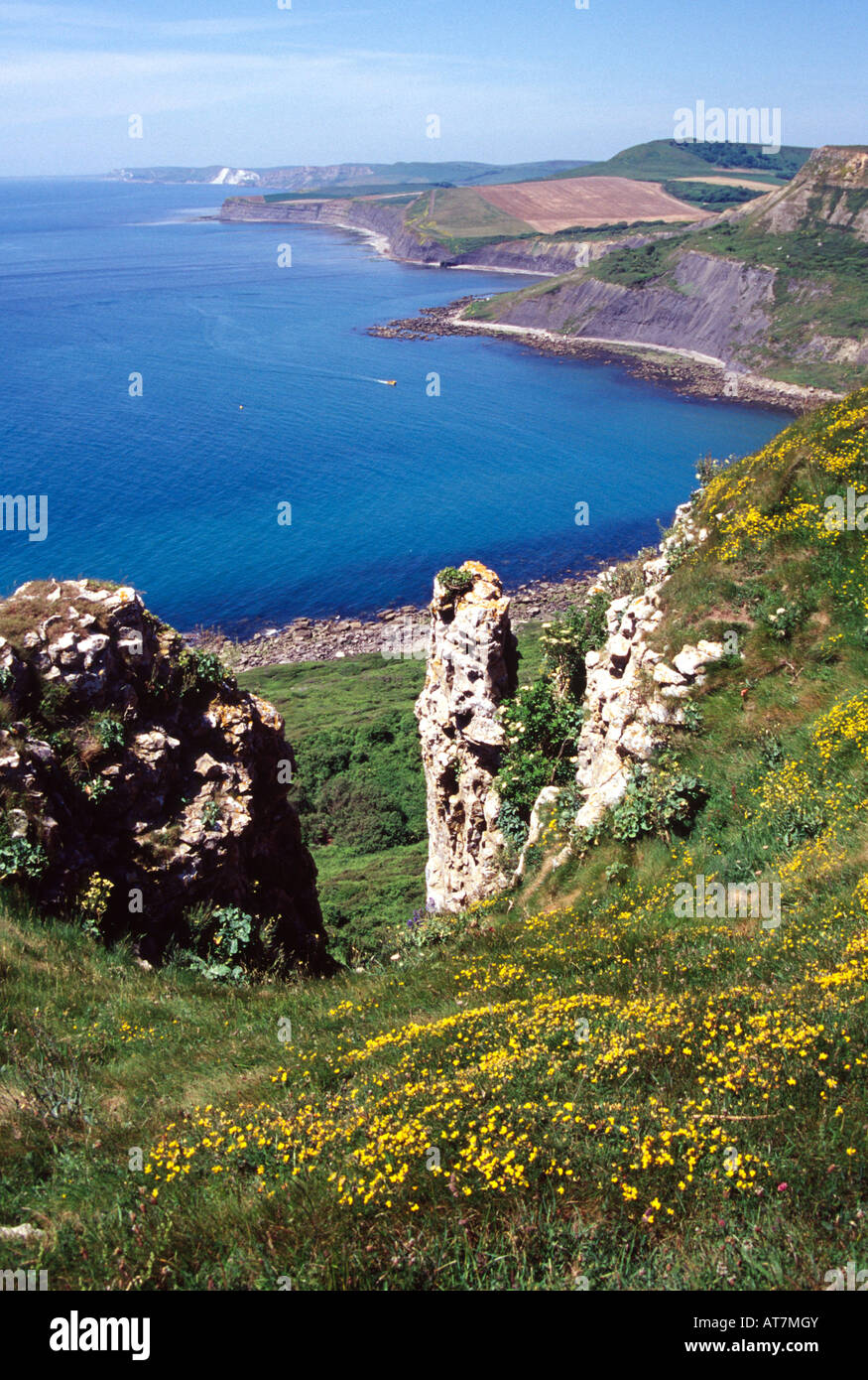 dorset coastline by chapman pool clifftop view coastal footpath