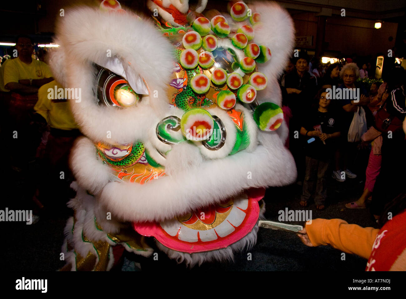 Chinese New Year celebration and Lion dance Stock Photo - Alamy