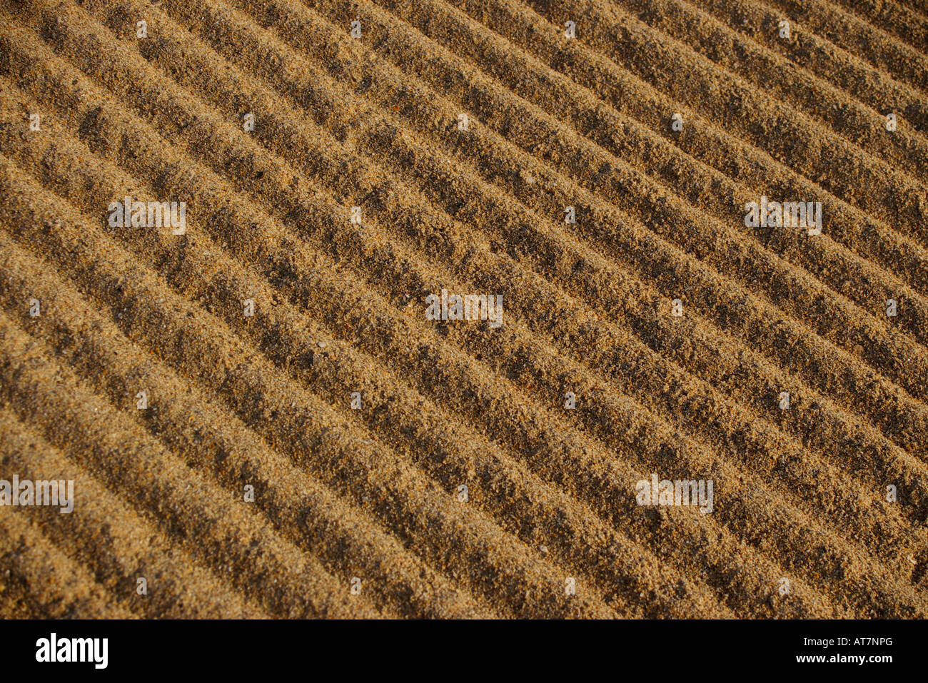 rhythm in repeated forms of the mark of a rake on the sand of the beach Stock Photo
