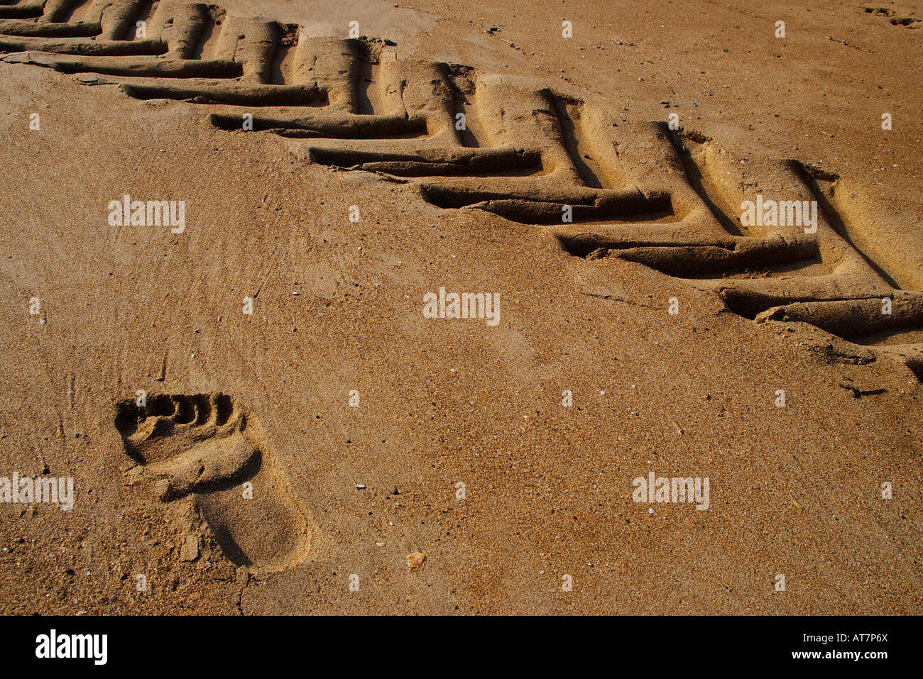 wheel track and foot print on sand beach Stock Photo