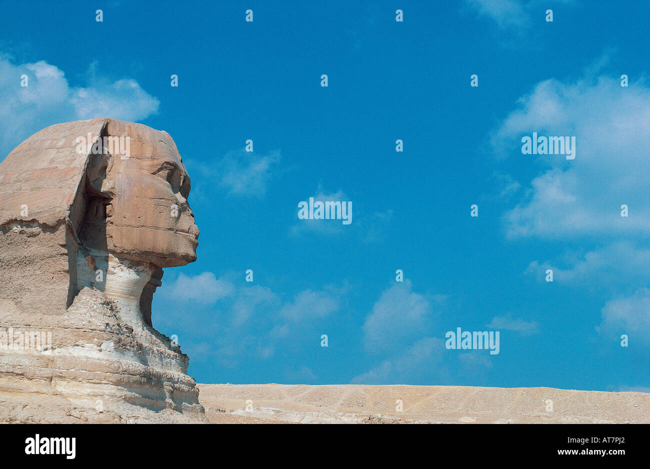 Close up portrait of the Sphinx Giza near Cairo Egypt Stock Photo