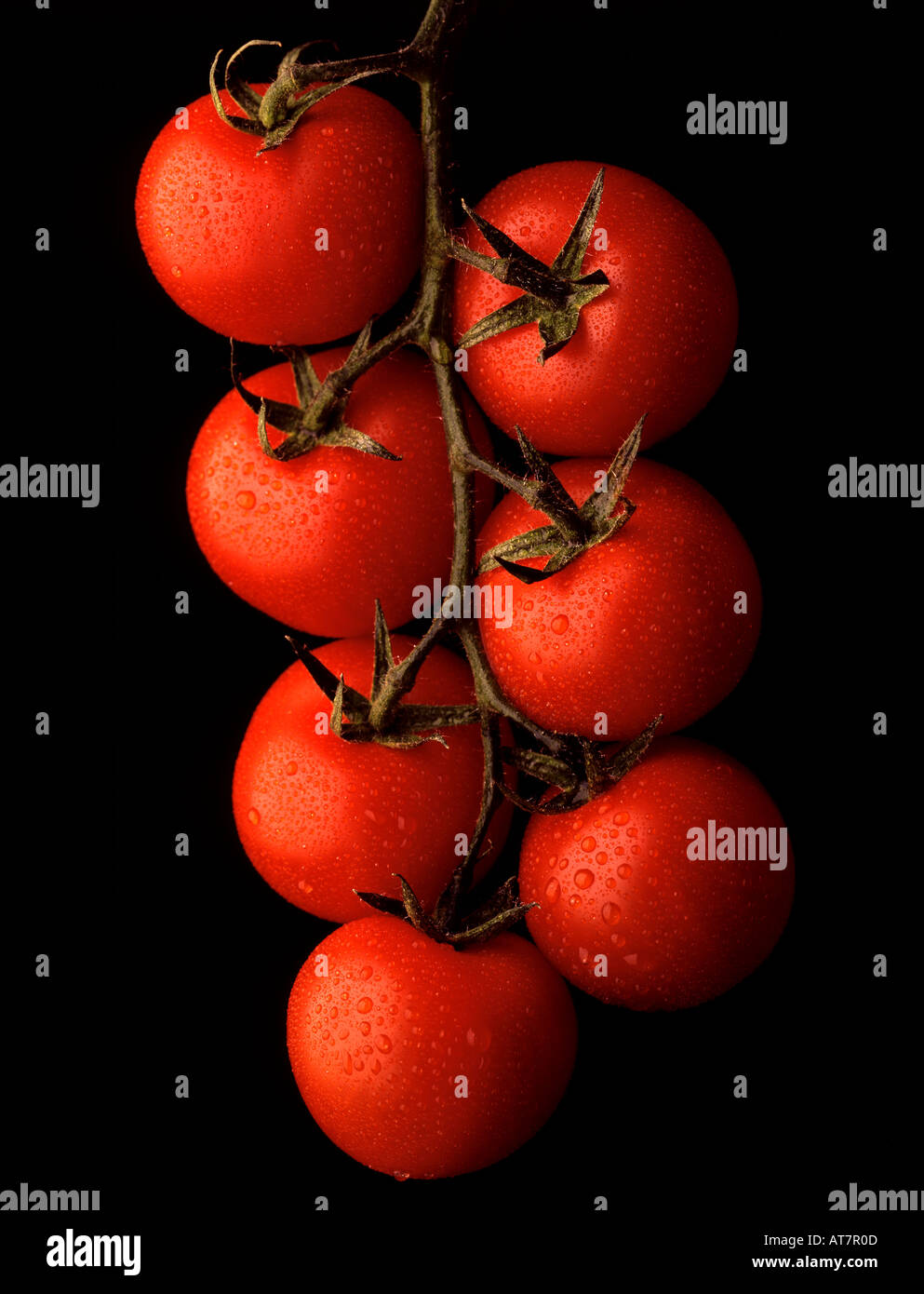 Tomatoes. Picture by Paddy McGuinness paddymcguinness Stock Photo