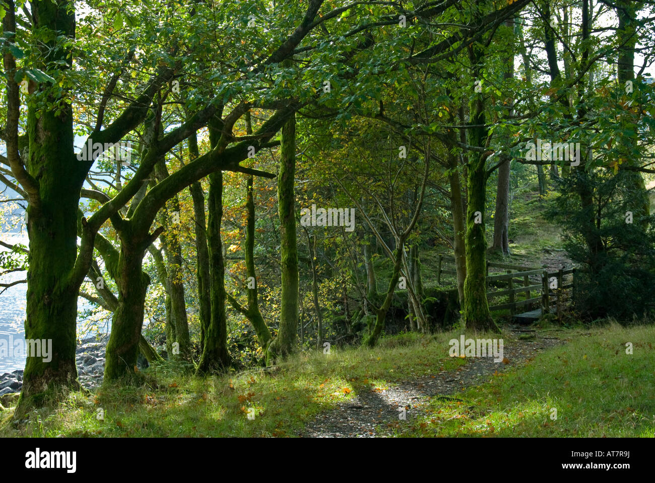 Walk lake district hi-res stock photography and images - Alamy