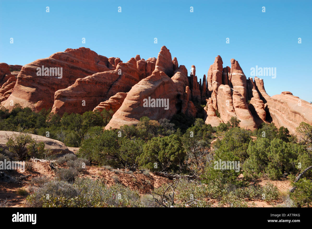 Fins of red sandstone. Arches National Park, Moab, Utah. Stock Photo