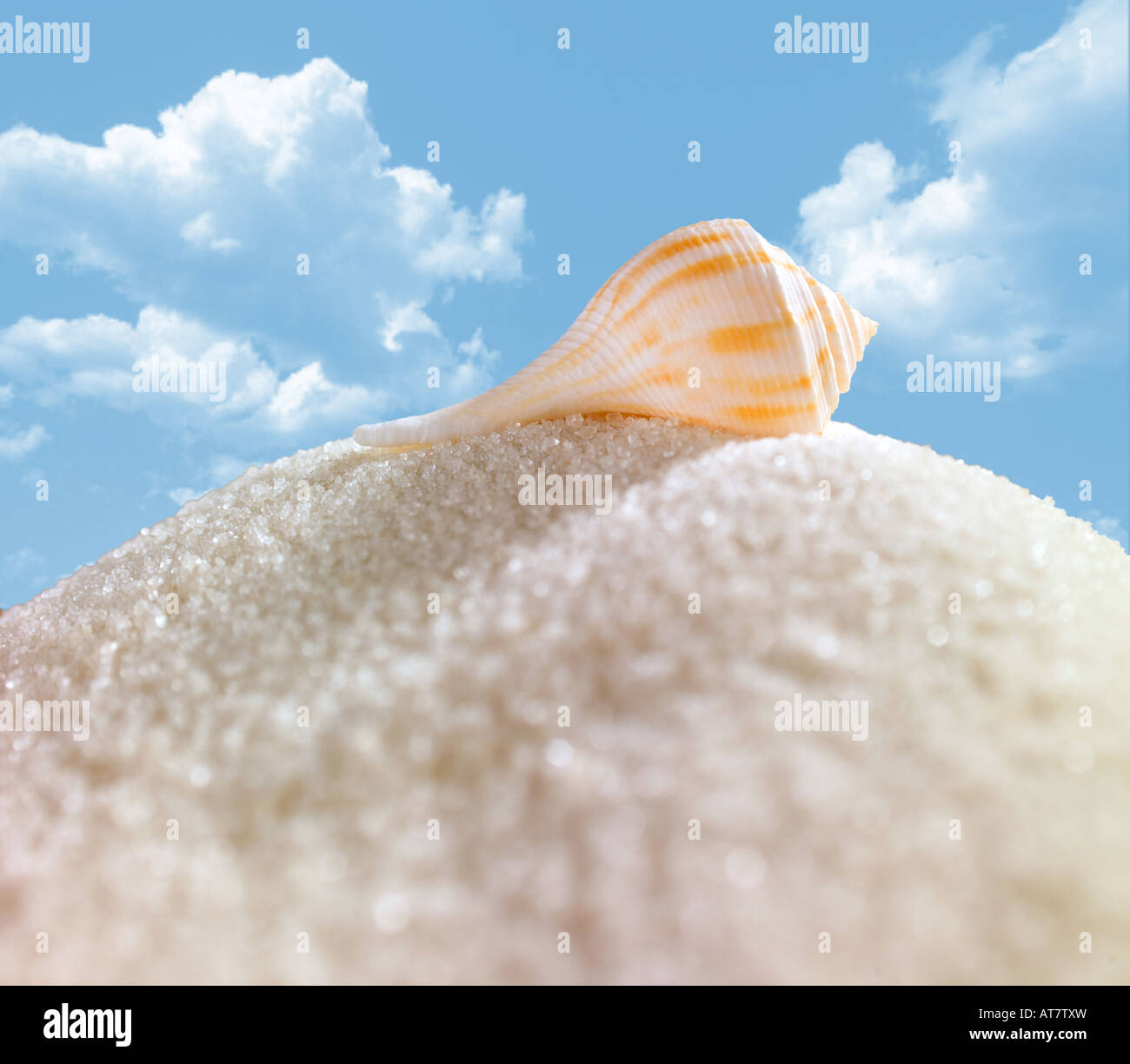 Snail Shell over a mount of white sand on a sunny day with few clouds. Stock Photo