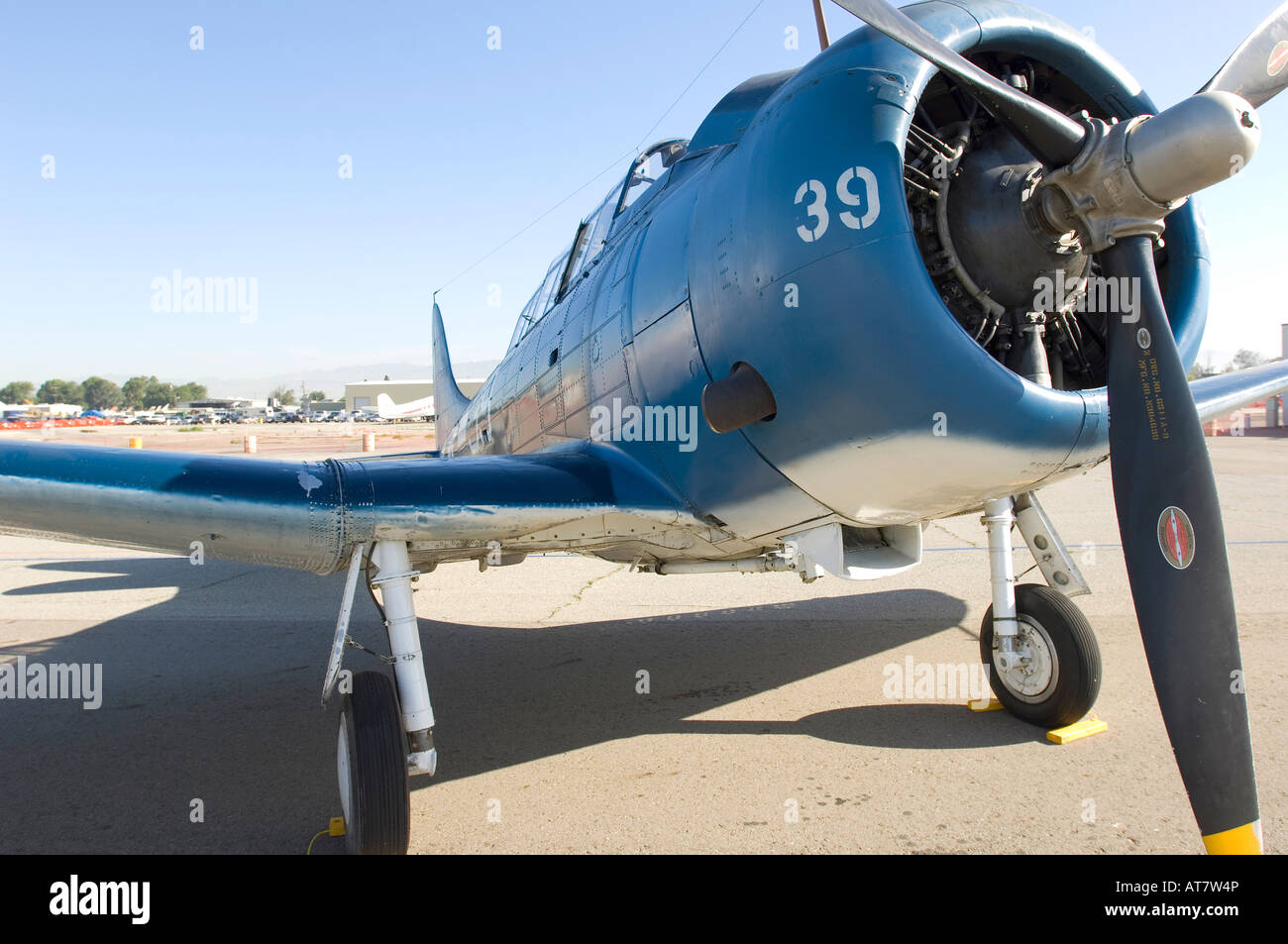 Blue vintage aircraft parked on the ramp. Combat Aircraft of the Pacific War. Douglas SBD/A-24 Dauntless/Banshee. Stock Photo