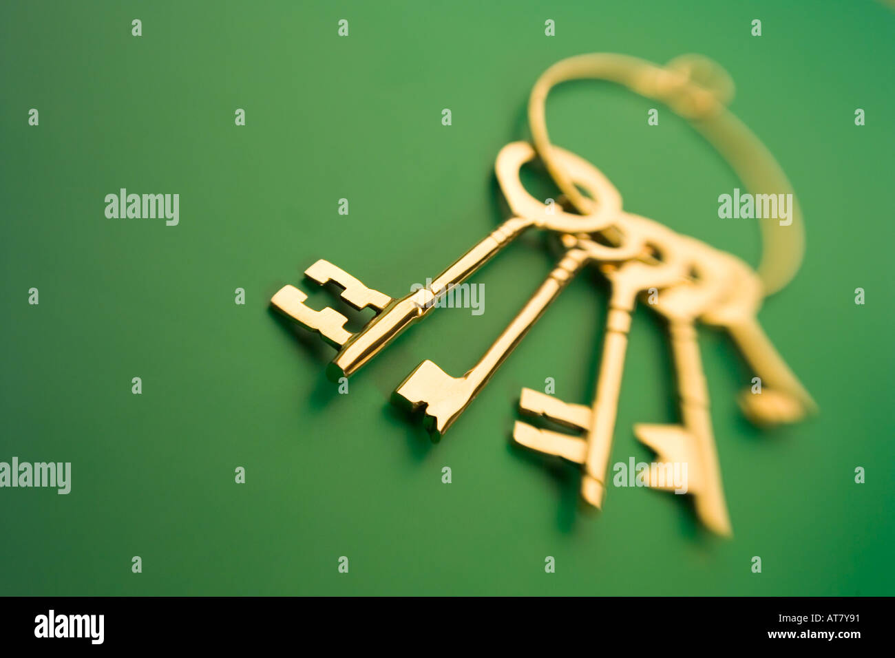 Bronze green hires stock photography and images Alamy