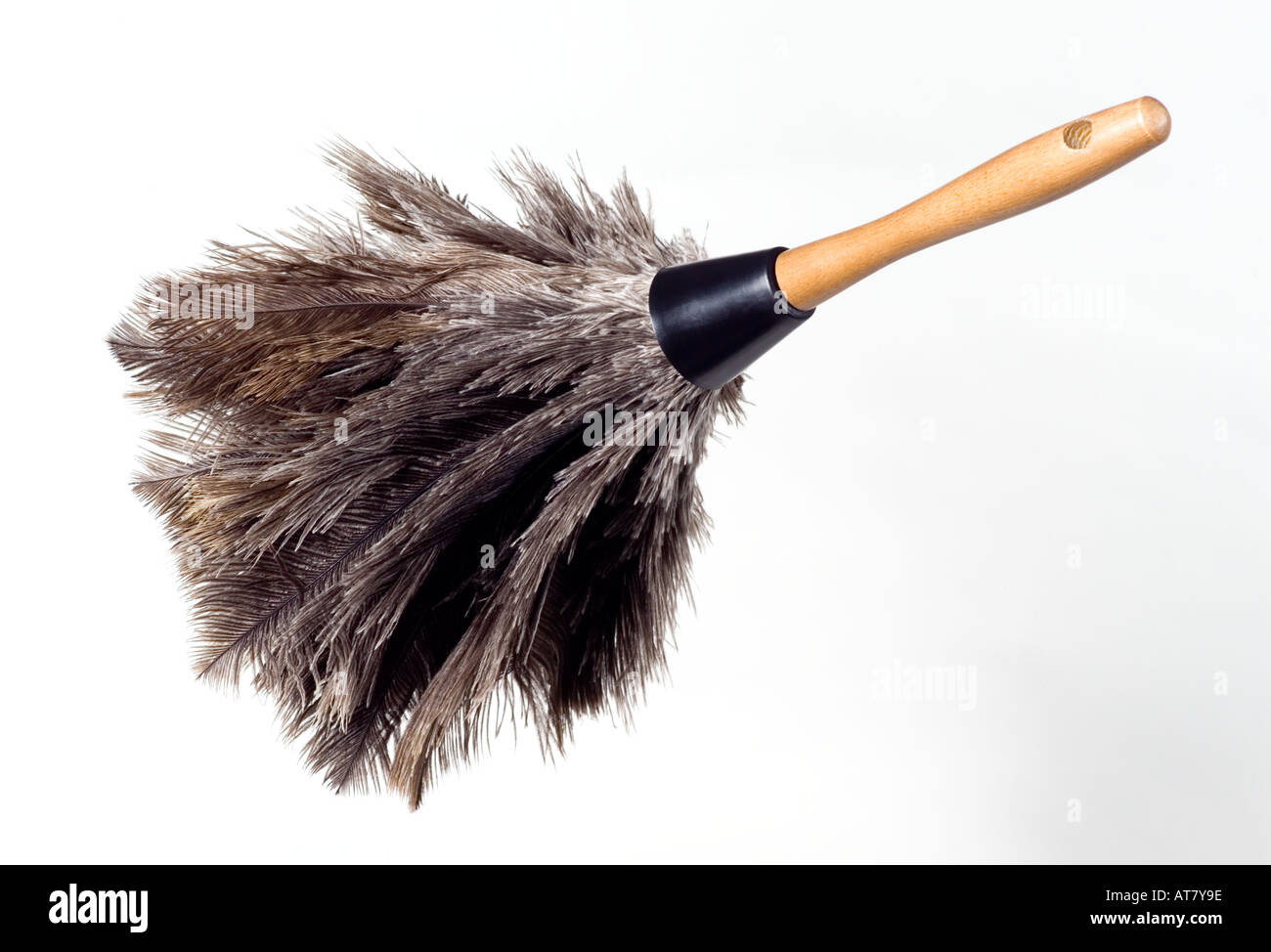 Feather duster hires stock photography and images Alamy