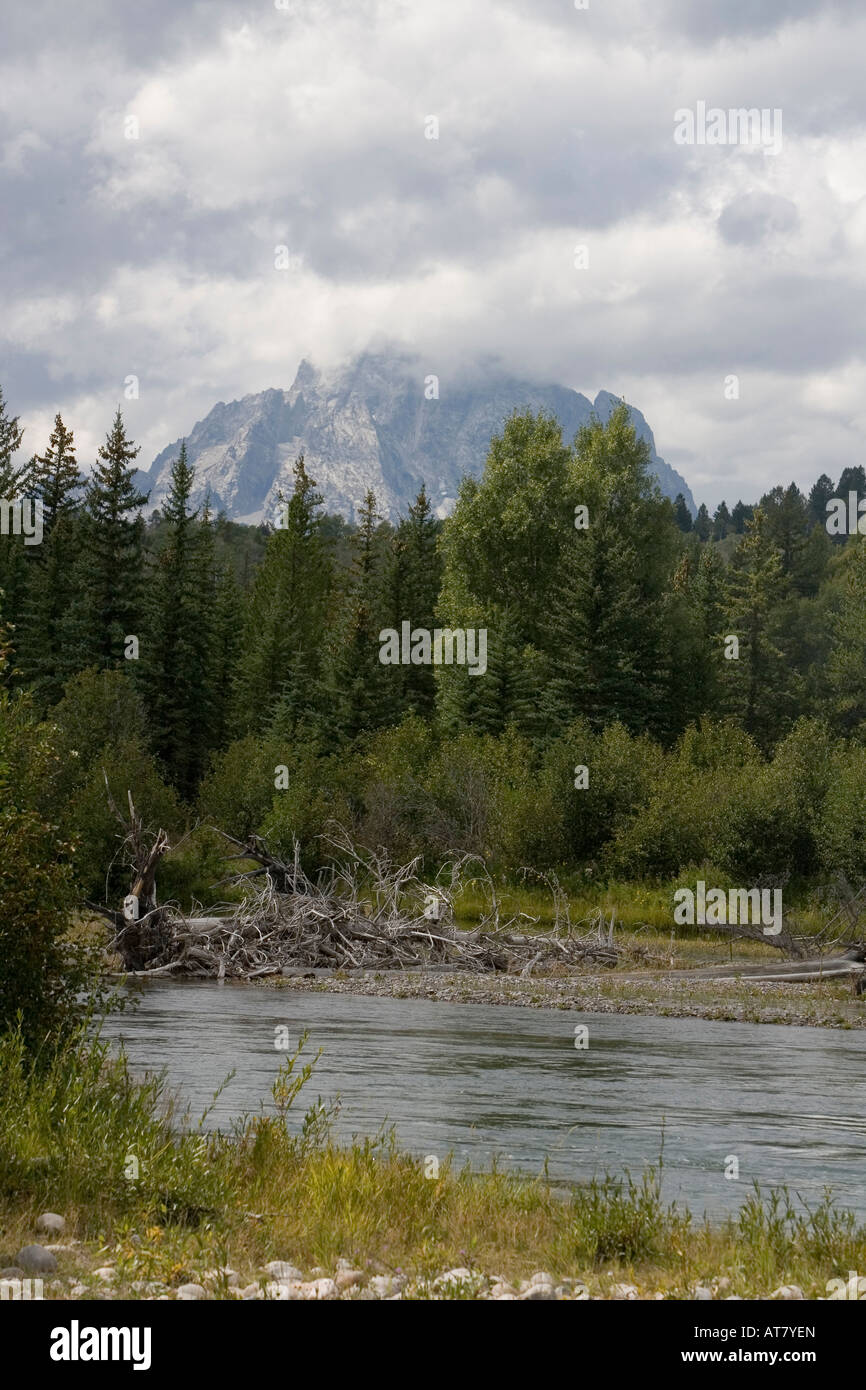 Snake River in front of Teton Mountains and an evergree forest, Grand Teton National Park Wyoming, USA Stock Photo