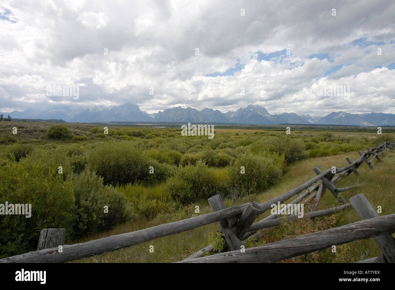 A field sits in front of the Teton Mountains, Grand Teton National Park, Wyoming, USA Stock Photo