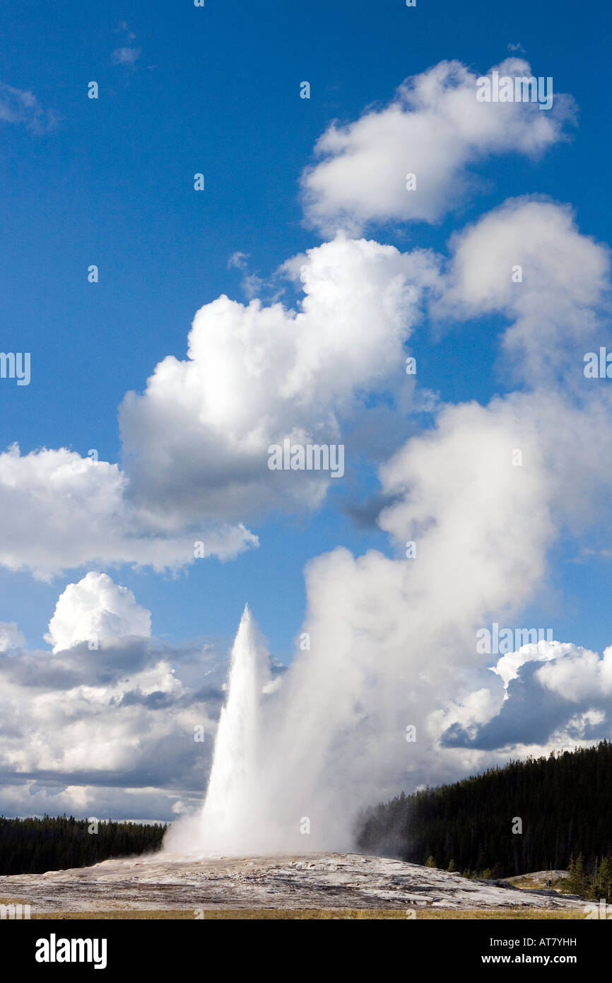 Eruption of Old Faithful Geyser Yellowstone National Park Wyoming Stock ...