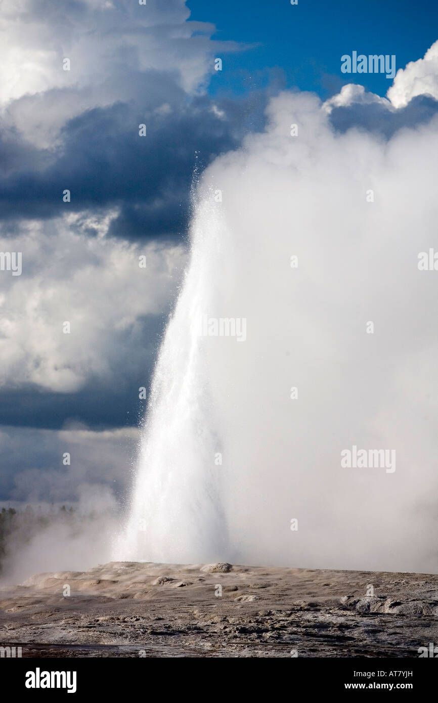 Old Faithful Geyser Yellowstone National Park Stock Photo - Alamy