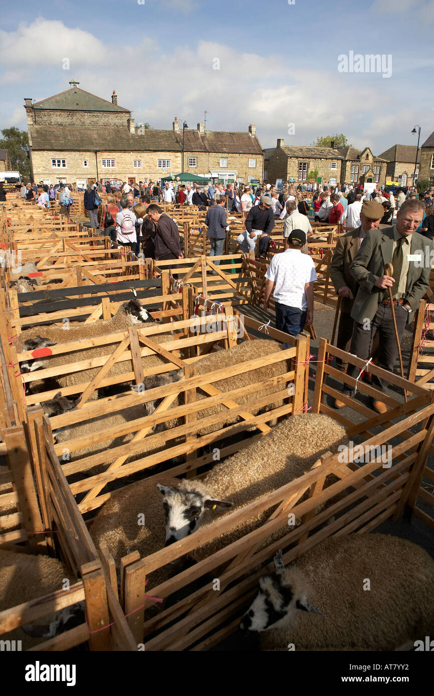 In The Village Of Masham High Resolution Stock Photography and Images