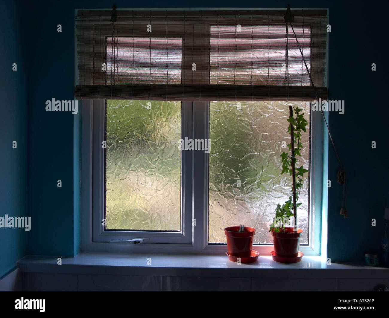 double glazed bathroom window with bamboo curtain and two plant pots