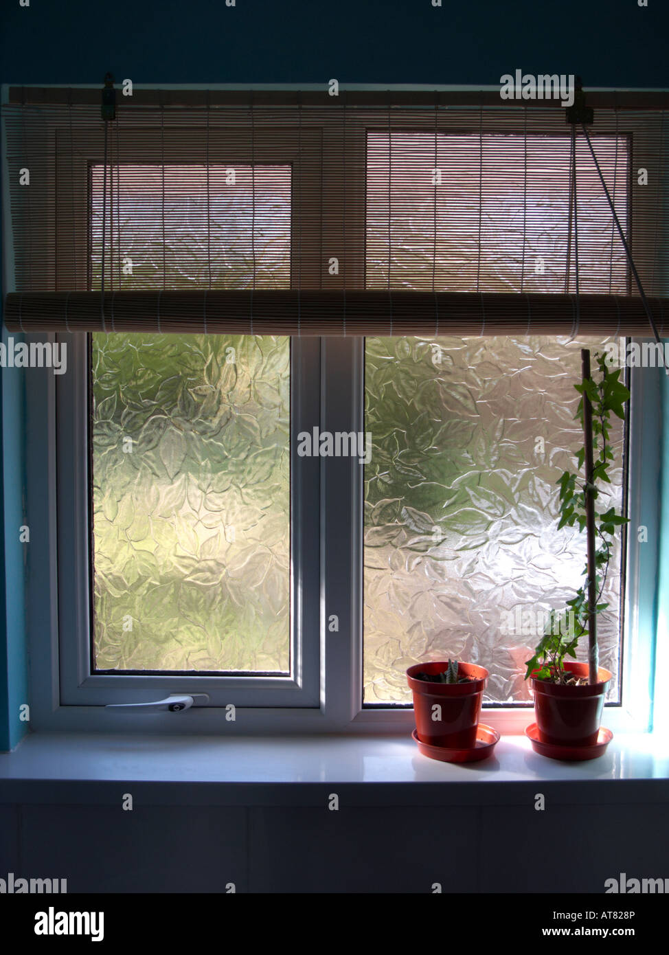 double glazed bathroom window with bamboo curtain and two plant pots