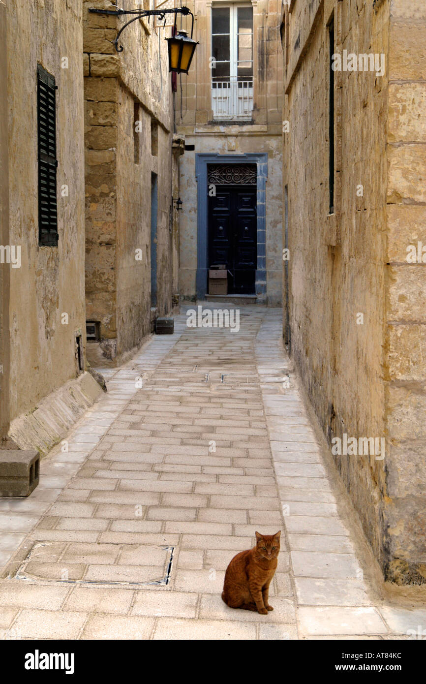Mdina Silent City Malta Stock Photo