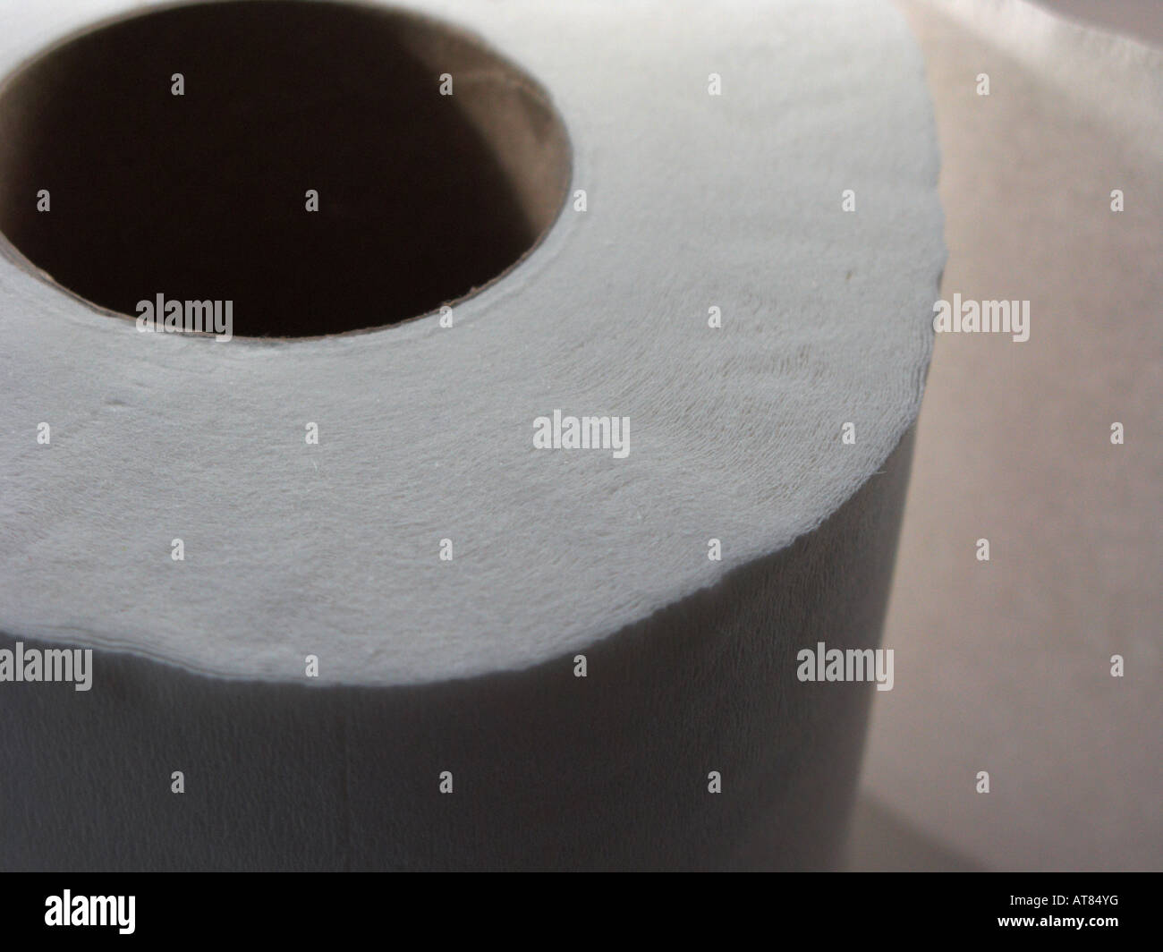 close up of white toilet roll Stock Photo