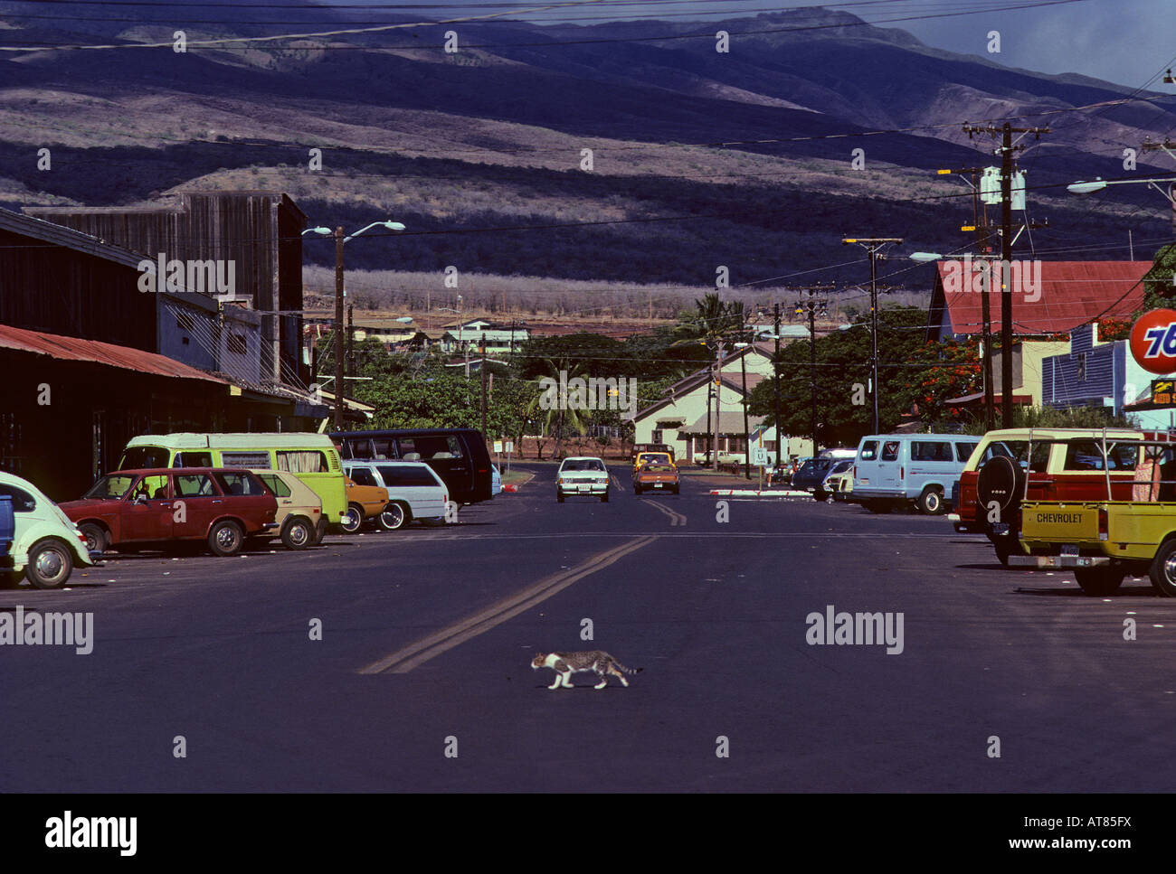 Rush hour in Kaunakakai, Molokai Stock Photo Alamy