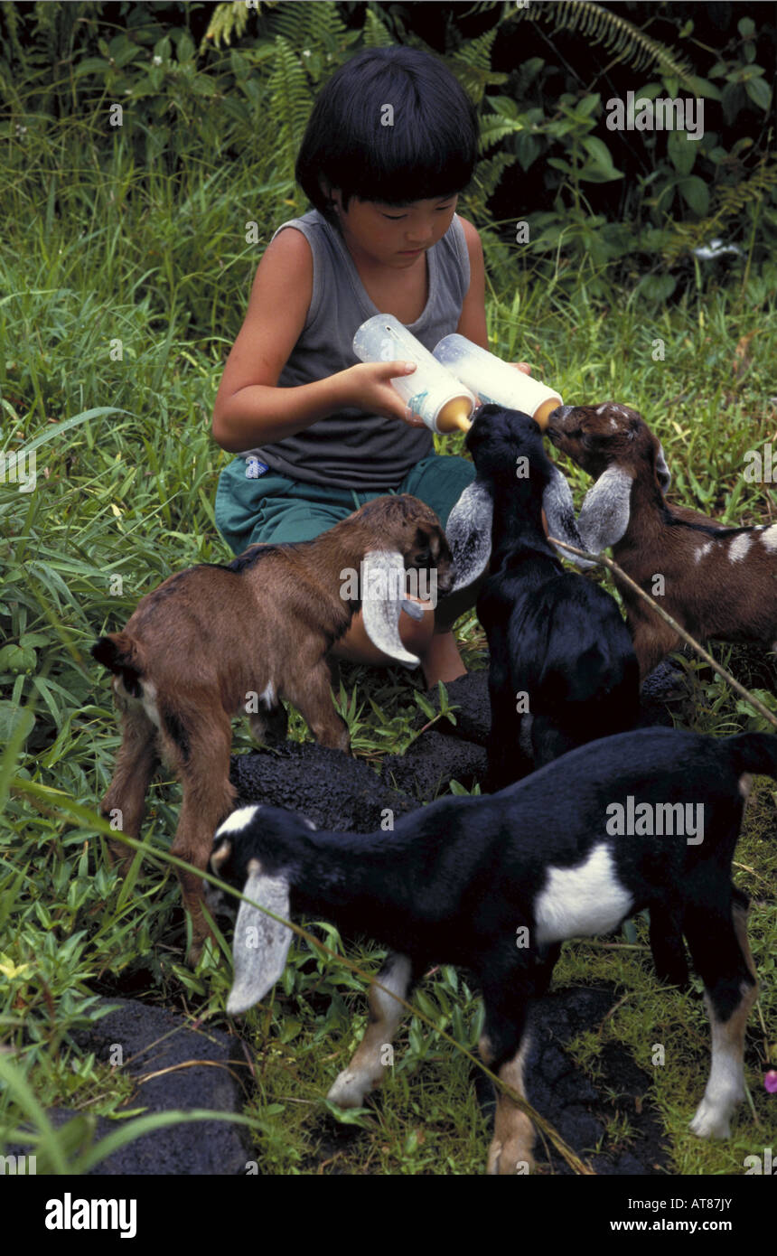 baby goat bottles