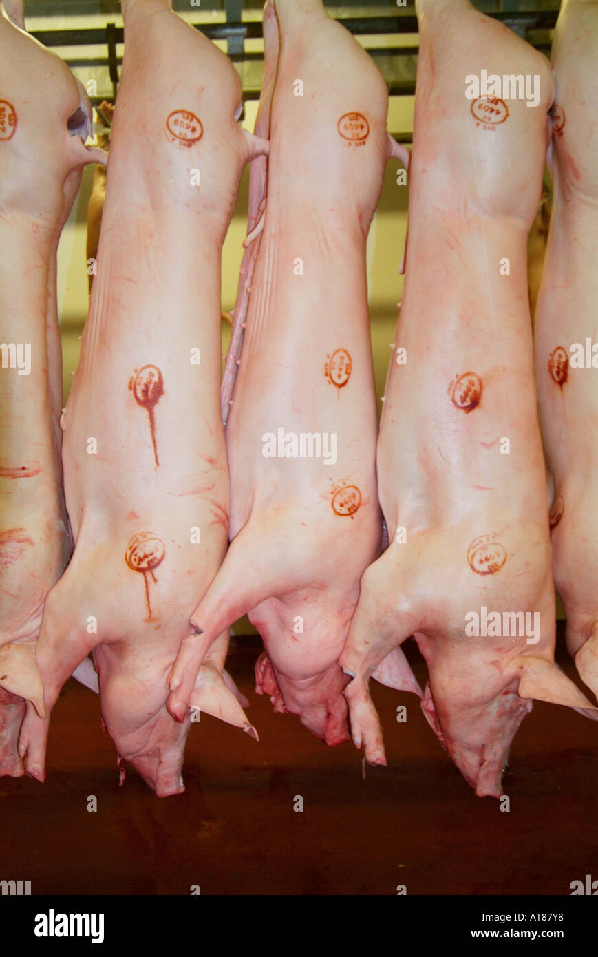 Pork pig bovine Pink skin Abattoir carcasses skin bone flesh dead meat livestock bacon chiller side slaughter house carcass Stock Photo