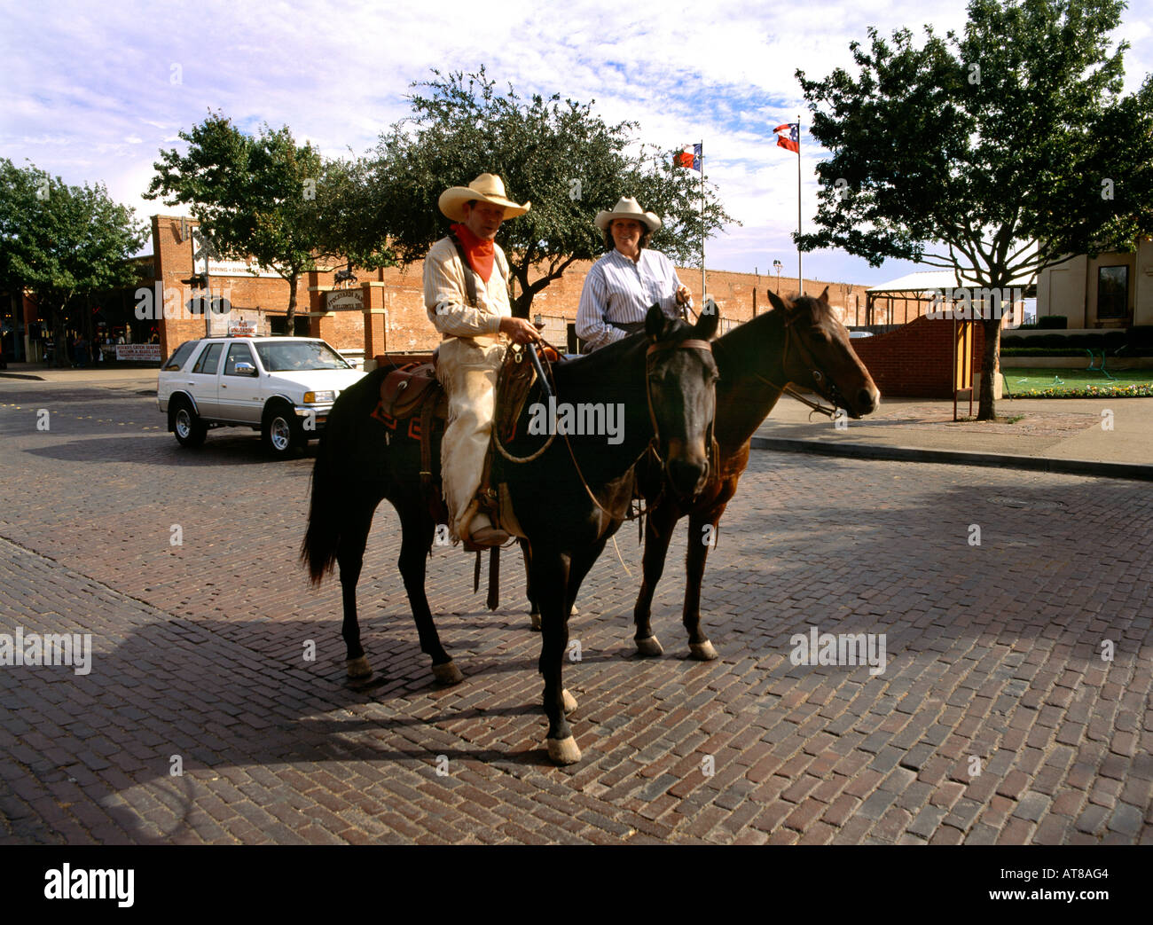 Fort Worth Texas Usa Stockyards Long Horn Cattle Cowboy On Horse Stock ...