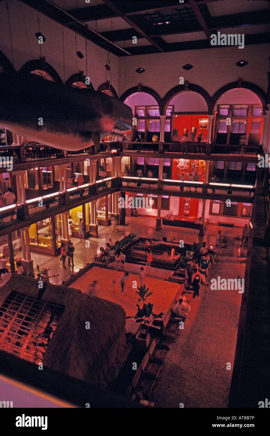 Interior of Bishop  Museum Stock Photo
