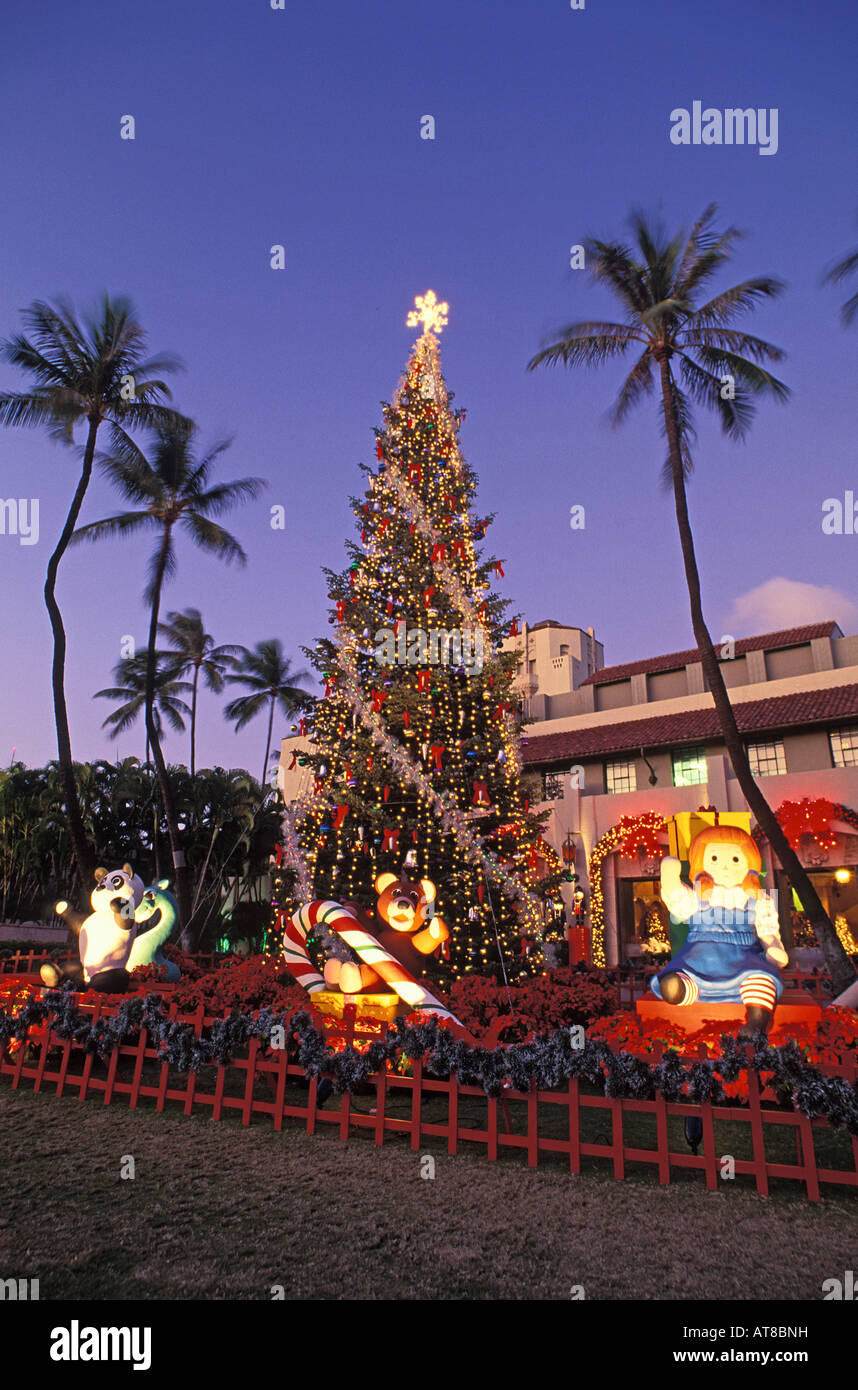 Twilight view of Christmas tree at Honolulu Hale Stock Photo Alamy