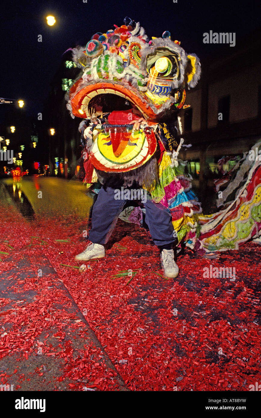 Front of Chinese Lion dancer standing on bed of red firecracker