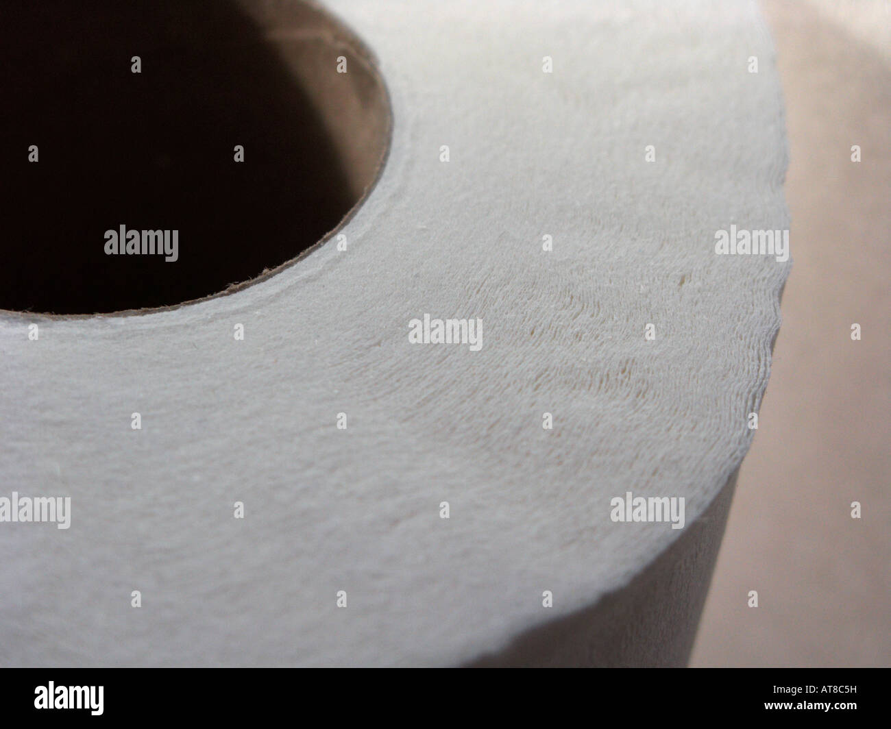 close up of white toilet roll Stock Photo