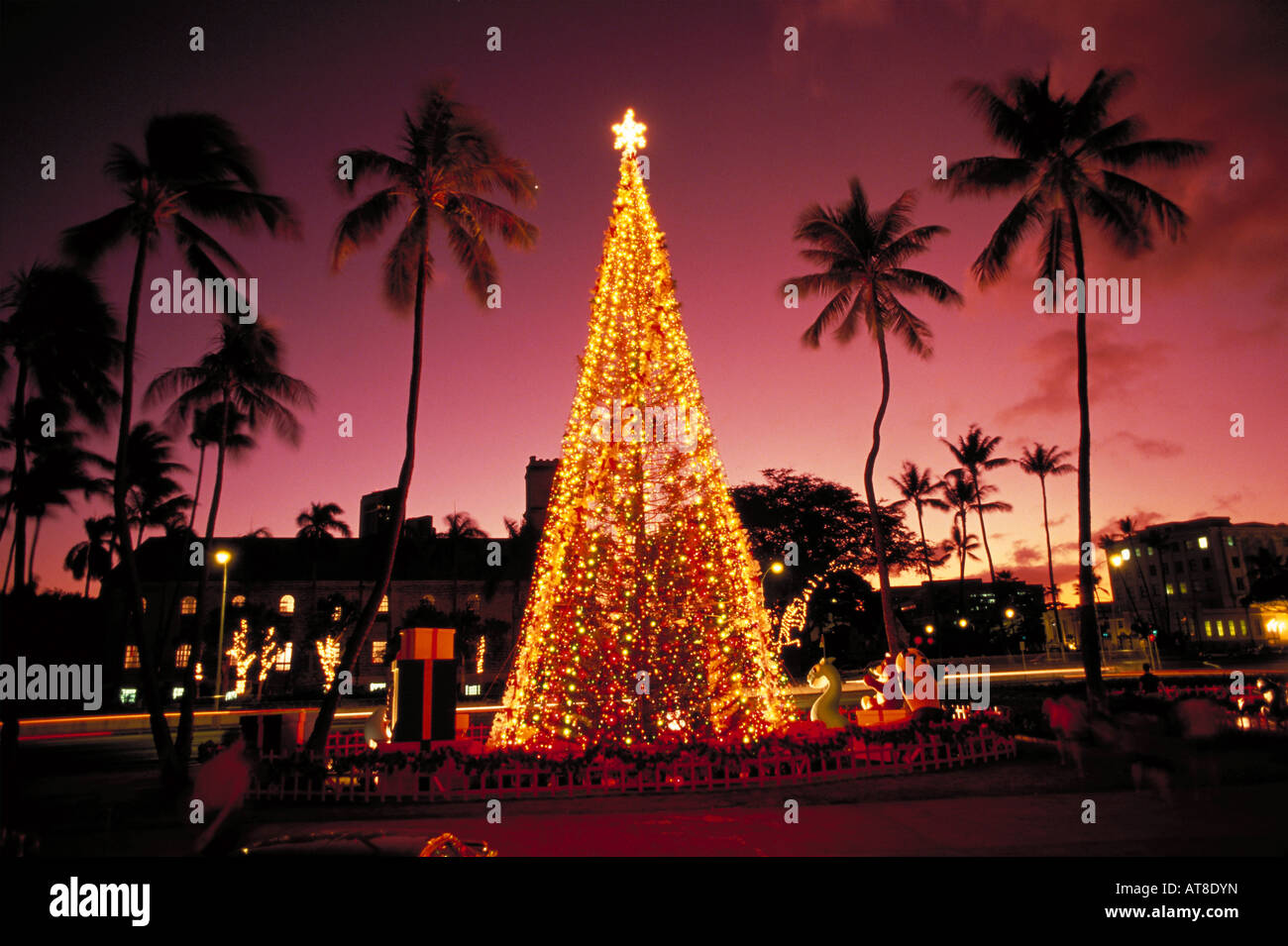 Honolulu Hale (City Hall) at Christmas with lights and palms, Oahu