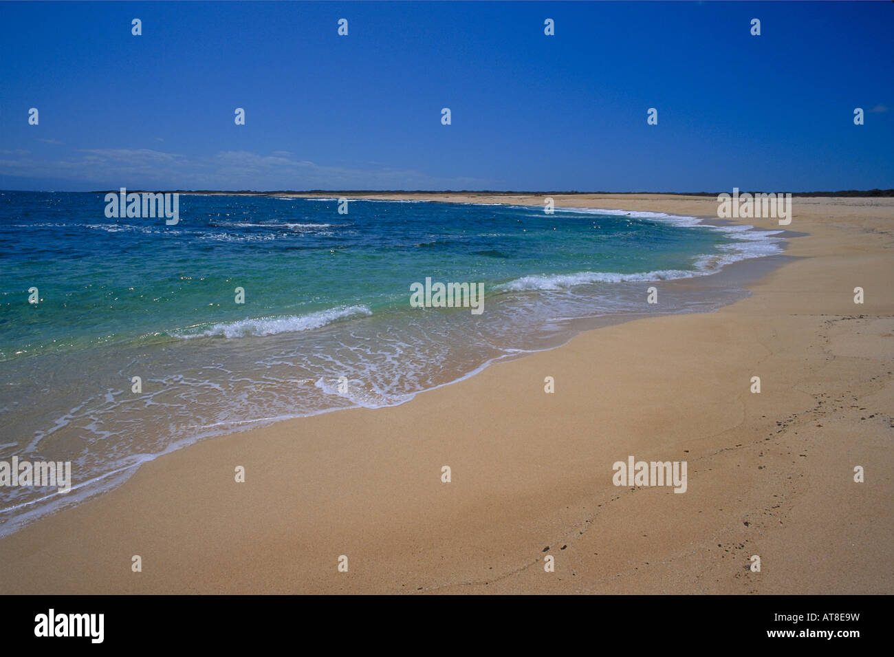 Pristine beach, Niihau Stock Photo - Alamy