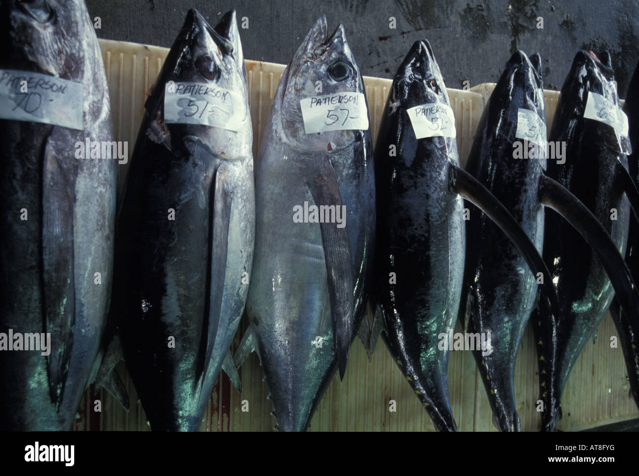 Hawaii fish auction hi-res stock photography and images - Alamy