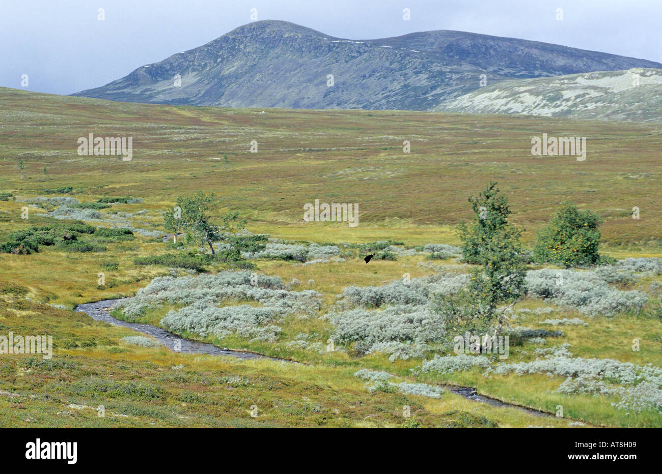 Hedmark hi-res stock photography and images - Alamy