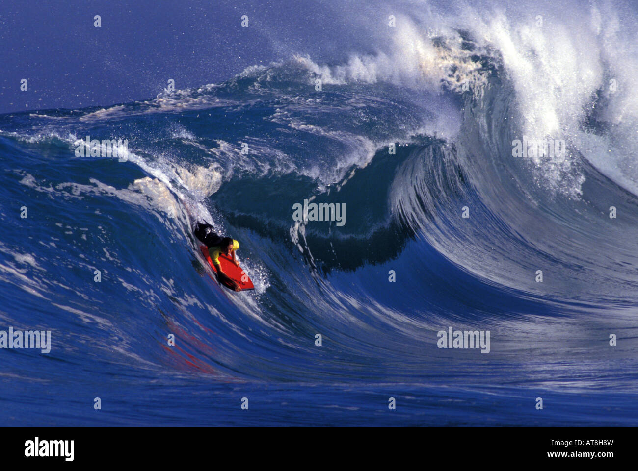 Bodyboarding at Honolua bay, Island of Maui Stock Photo Alamy