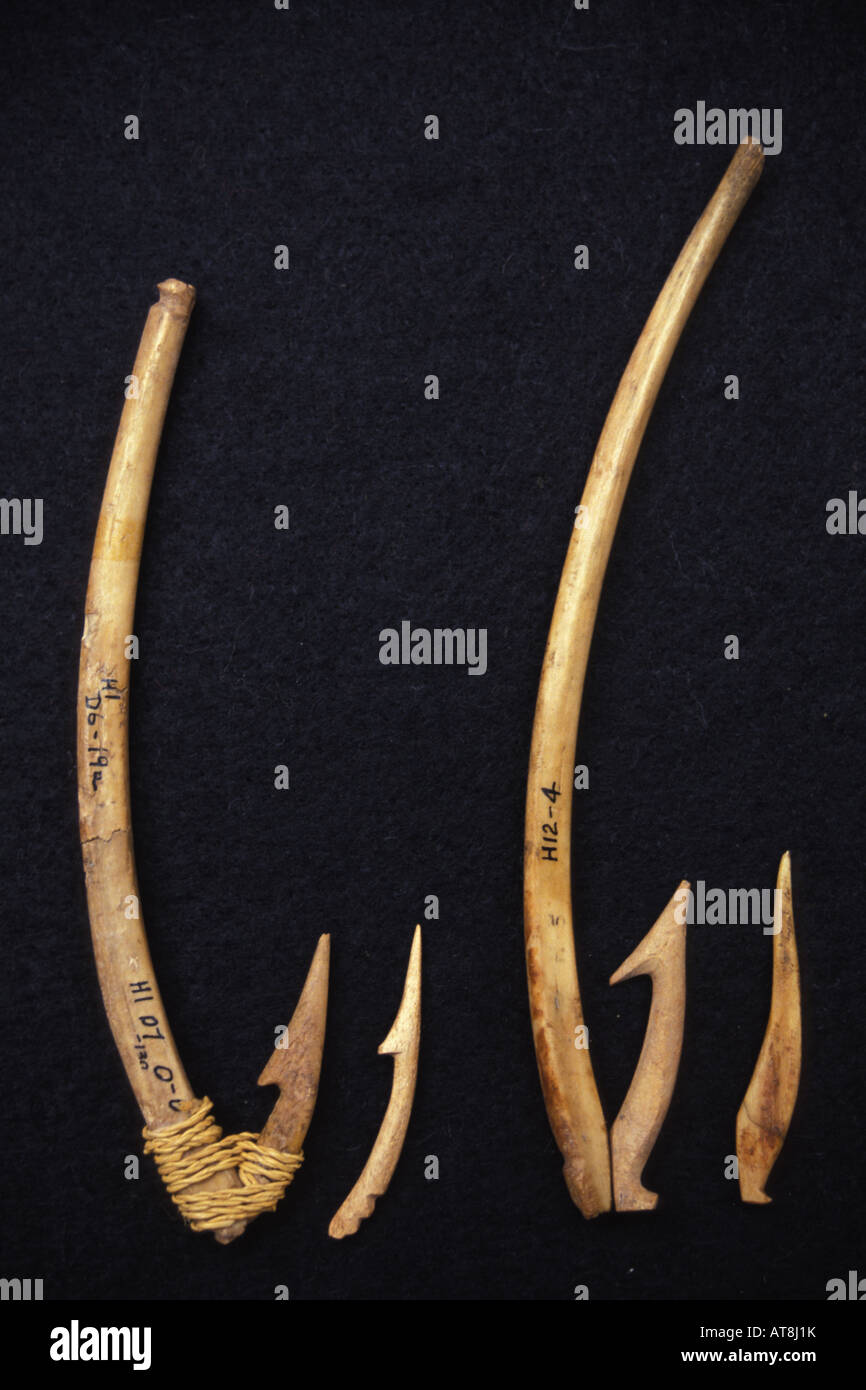 Ancient Hawaiian fishhooks Stock Photo - Alamy