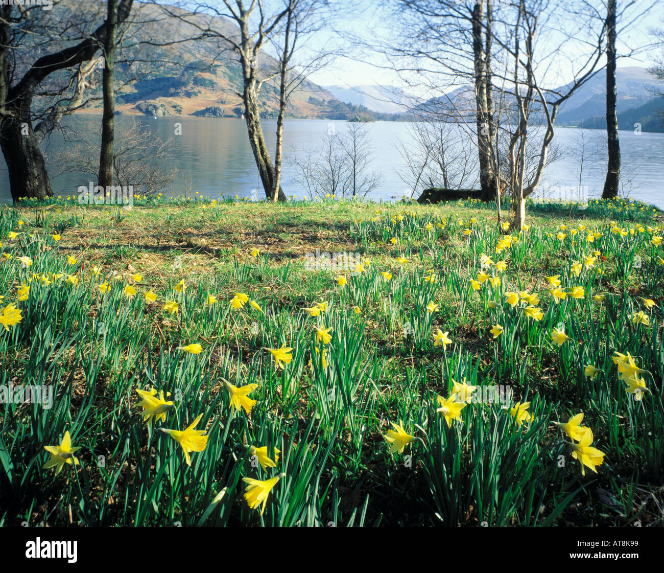 GB CUMBRIA LAKE DISTRICT NATIONAL PARK  ULLSWATER GLENCOYNE BAY WORDSWORTH POINT Stock Photo