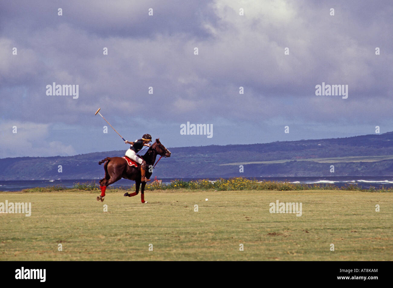 Playing polo on the north shore, Island of Oahu Stock Photo