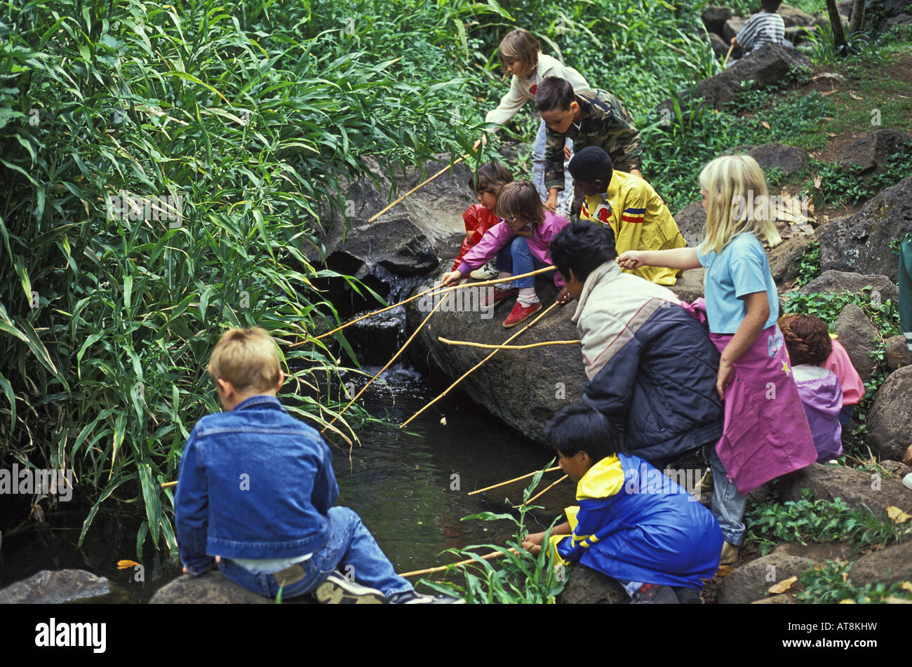 EDITORIAL ONLY. Kids with bamboo fishing poles explore a mountain stream in  Makiki Valley. Nature Center hike Stock Photo - Alamy