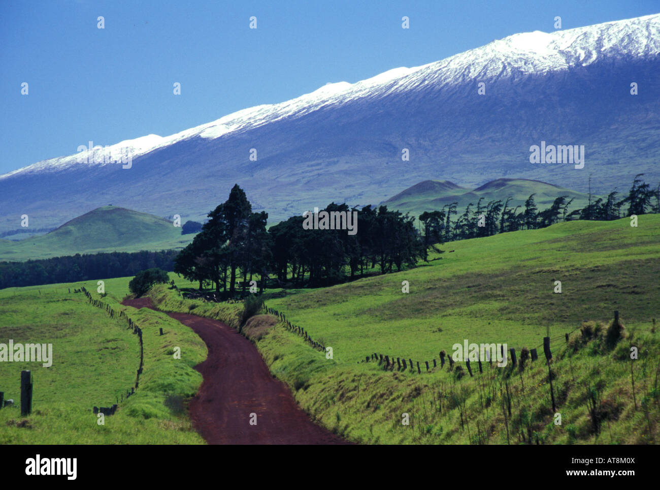 Snowcapped Mauna Kea from mana road, near Waimea town, Big Island Stock