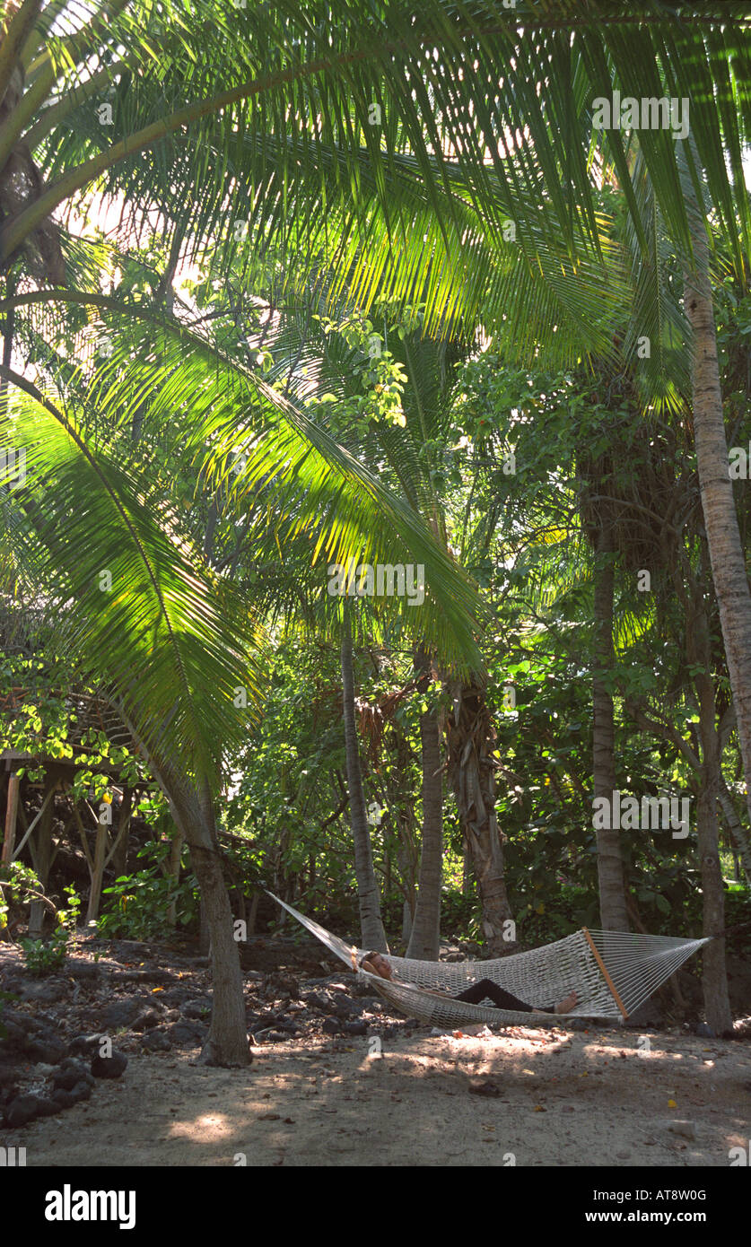 Young woman relaxing in hammock under tropical palm trees Stock Photo ...