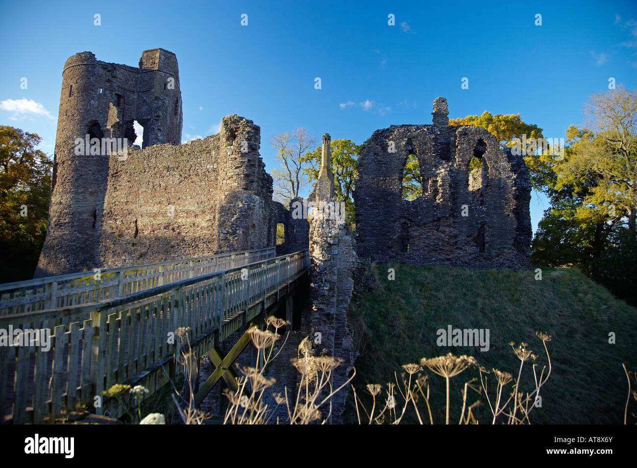 Grosmont Castle, South Wales, UK Stock Photo