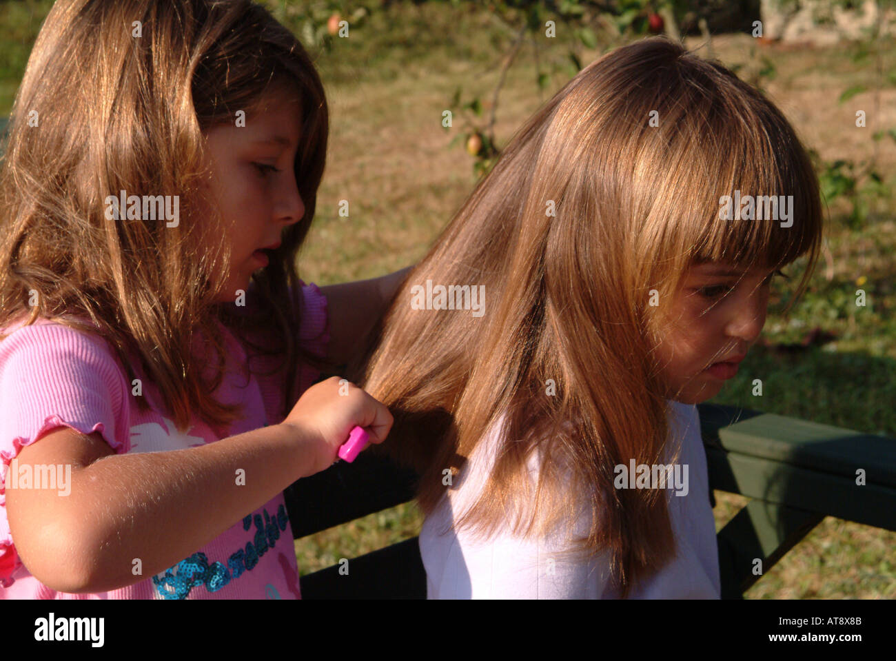 Little Girl Brushing Another Little Girls Hair Stock Photo
