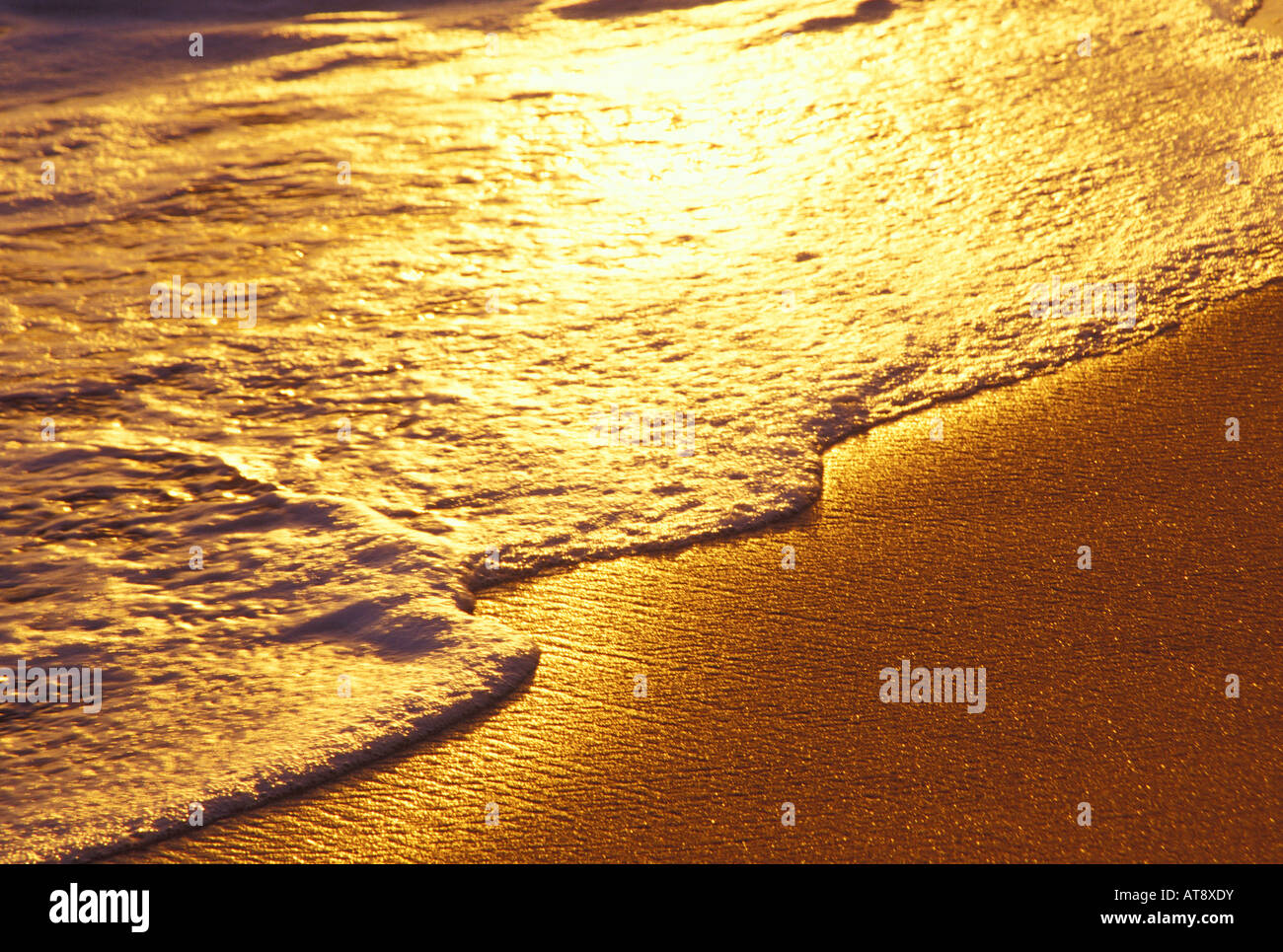 Close up of ocean shoreline with golden sunset glow Stock Photo - Alamy
