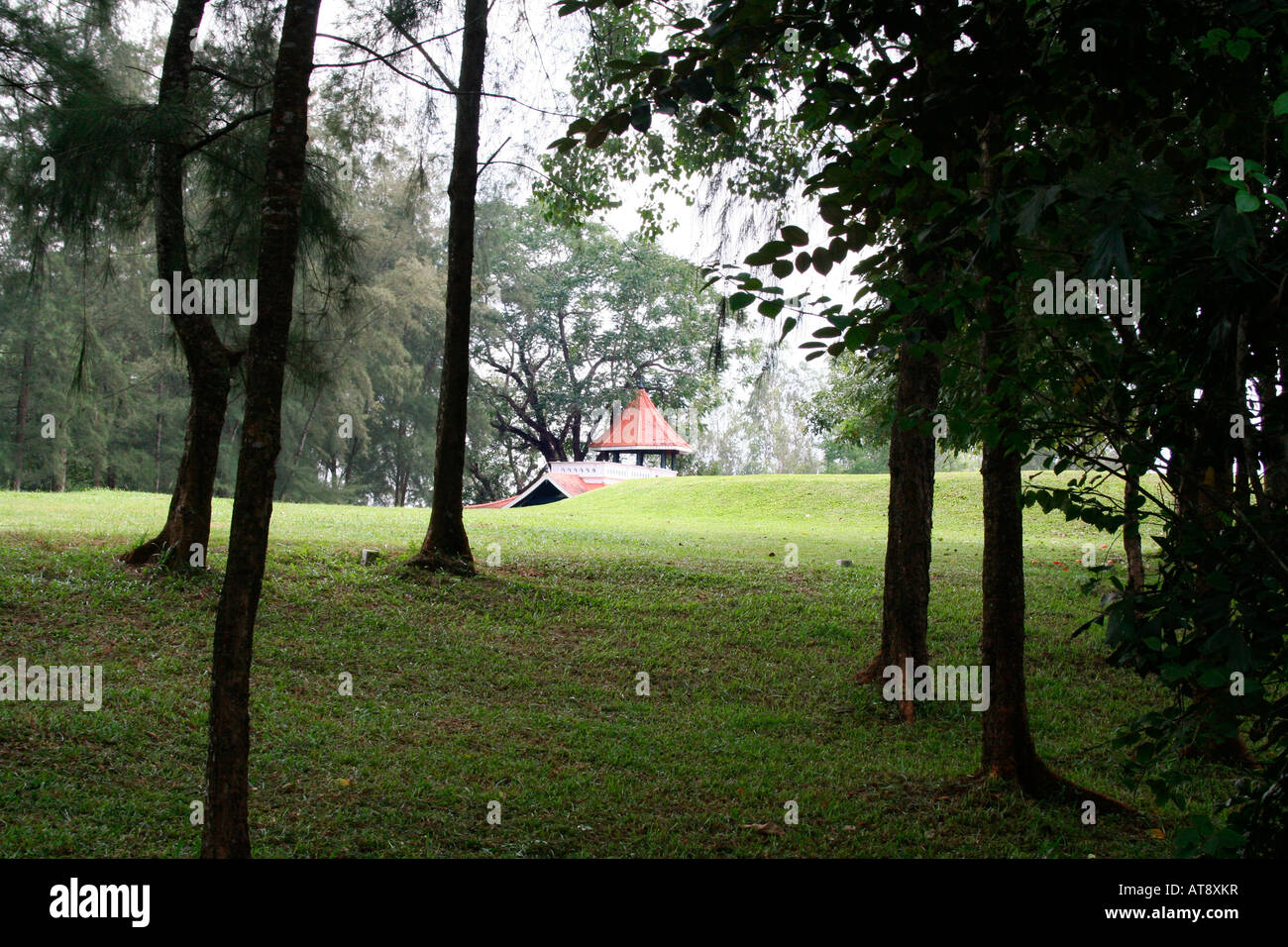 Landscaped charm of a golf-course and clubhouse viewed through a strand of trees Stock Photo