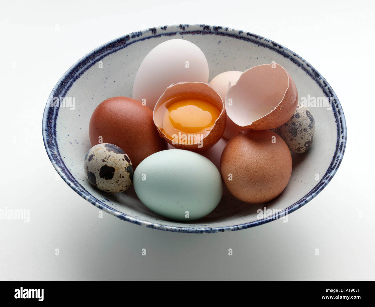 Free range duck quail old cotswold legbar and Burford Brown hens eggs