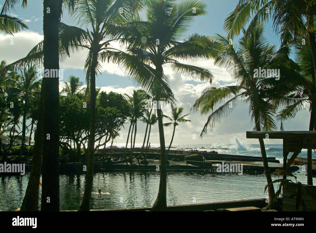 Ahalanui hot pond Pahoa, Big island of Hawaii. The water is brackish