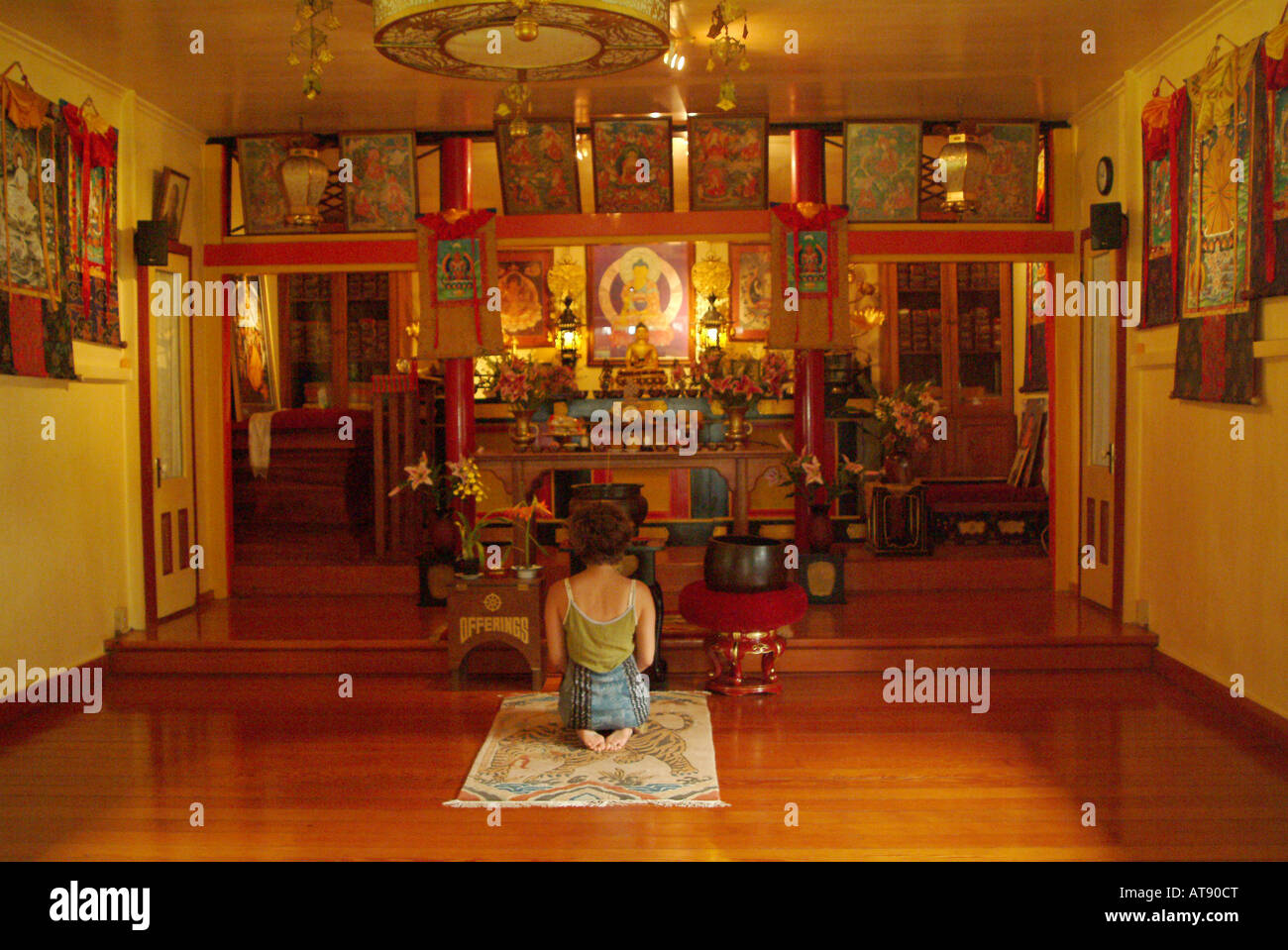 Young woman age 21 kneeling at beautiful golden Buddhist wood valley temple altar on Kau south end of the Big island of Hawaii Stock Photo
