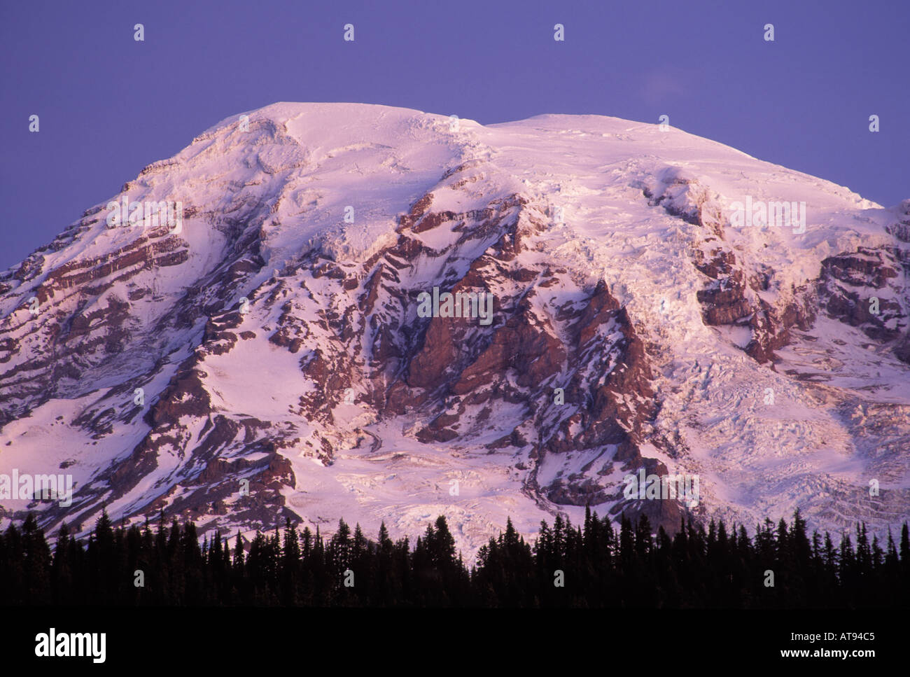 Sunrise on Mount Rainier above tree line from Reflection Lakes Mount